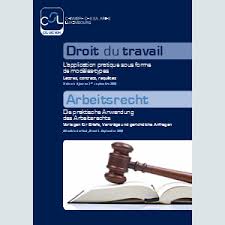 Produsul este cumparat in magazin si e in stare buna. Droit Du Travail