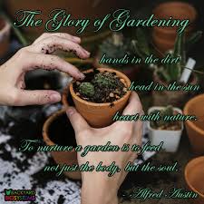 The Glory Of Gardening Hands In The Dirt Head In The Sun Heart With Nature To Nurture A Garden Is To Feed Not Just Garden Quotes Body Interesting Articles