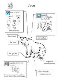 Le Sac A Idees Nombreuses Fiches Animaux Ours Animaux Polaires Animaux