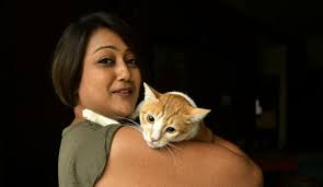 Check spelling or type a new query. International Cat Day A Paws Itively Purrfect 24 Hours The Hindu
