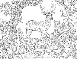 Download and print these forest printable coloring pages for free. Pin On Adult Coloring Pages At Coloringgarden Com