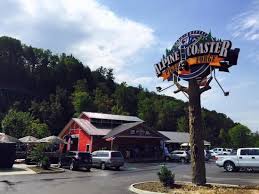 Fun But Get A Coupon Review Of Smoky Mountain Alpine Coaster Pigeon Forge Tn Tripadvisor