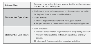 For most companies, ppp loans will be accounted for as debt instruments. Paycheck Protection Program Loans Accounting What Are The Options Explore Our Thinking Plante Moran