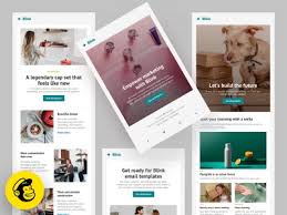Design techniques you can apply to your newsletters and promotional emails, such as how to create visual hierarchy using the squint 12 newsletter design tips to boost your email marketing results. Email Newsletter Designs Themes Templates And Downloadable Graphic Elements On Dribbble