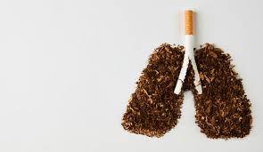 Se consume de varias formas, siendo la principal por combustión produciendo humo. Dia Mundial Sin Tabaco La Importancia De Respirar Bien Unir