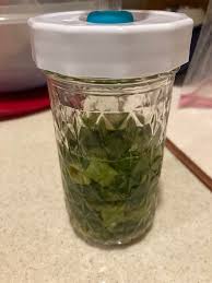 Nopalitos or nopales nopalitos cactus, or nopal, is a typical sight in the mexican landscape. Nopales Cactus Leaf And Jalapeno Ferment A Wonderful Hot Sauce In The Making Fermentation
