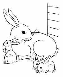 Pets Coloring Pages Best Coloring Pages For Kids Bunny Coloring Pages Family Coloring Pages Dinosaur Coloring Pages