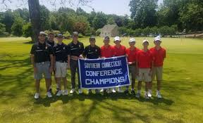 Cheshire's A.J. DePaolo earns medalist laurels at SCC golf meet.
