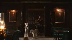 Check spelling or type a new query. Hbo Announces His Dark Materials Pop Ups At Select Public Libraries Including Advanced Screenings The Beat