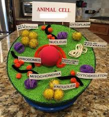 We did not find results for: 22 Super Ideas For Plants For Kids Animal Cell Animal Cell Animal Cell Project Edible Cell Project