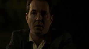 In Plain Sight (TV Mini Series 2016)