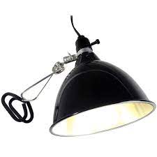 Maybe you would like to learn more about one of these? Green Thumb Decorative Clamp On Plant Grow Light With Cfl Or Led Bulbs