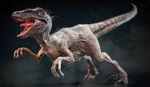 Share the best gifs now >>>. The Largest Raptors Dromaeosaurs Top 10 Dinoanimals Com