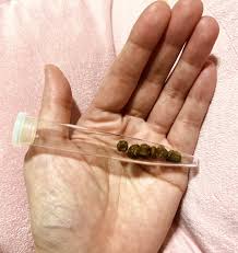 胆石 手術 ブログ