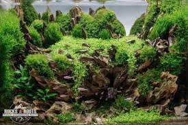 Published on september 4, 2019. Rocks Roots French Aquascaping Spirit Home Facebook