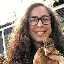 Over the Top Workshop