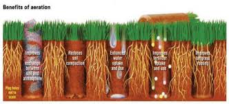 Find local 20 lawn aeration experts in perth. Lawn Aeration Lawn Care In Perth Auchterarder Crieff