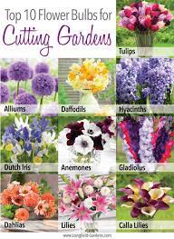 Cartridgehelper.com is your first and best source for all of the information. Pin On The Longfield Gardens Blog