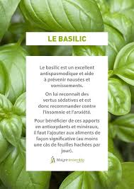 Fruits Et Legumes Le Basilic Bienfaits Alimentation Saine Et Equilibree Alimentation Saine Et Equilibree Alimentation Alimentation Et Sante