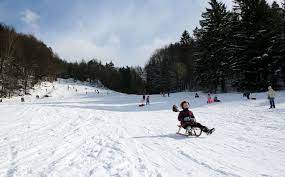 Check out 3d model of spieser. Spieser Rodelpiste Wintersport Frankenjura Com