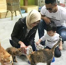 Jangan lupa untuk saksikan my little heroes yusuf & bujibu, mulai 31 januari, setiap rabu, jam 9pm. Comel Betul Bujibu Gaduh Dengan Yusuf Iskandar Berita Steady
