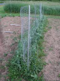 Birdies Raised Garden Beds Review Pin By Brandy Martin On Vegetable Garden Container Gardening Vegetables Starter Garden Vegetable Garden
