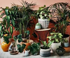 Over 80% new & buy it now; What To Know About Planters And Flowerpots For Your Plants Orange County Register