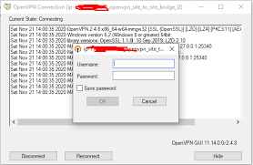 Image result for softether vpn server GUI