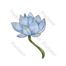 Bunga teratai dikenal juga dengan sebutan water lily atau lili air. Ilustrasi Cabang Bunga Teratai Biru Elemen Grafis Templat Psd Unduhan Gratis Pikbest