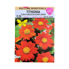 Image result for Tithonia