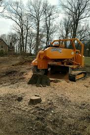 Profile for Fred Zakrajsek's Stump Removal