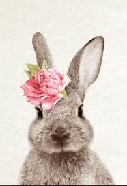 Pin By Novae Baghurst On Rabbit Illustrations Rabbit Art Animal Wall Art Bunny Art