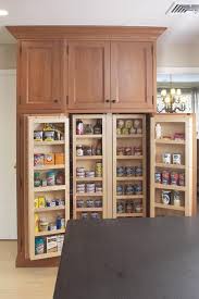 Houzz Home Design Decorating And Remodeling Ideas And Inspiration Kitchen And Bathroom Large Kitchen Cabinets Pantry Design Kitchen Pantry Storage Cabinet