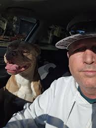 Found dog Simba reunited with family 5/8/2025