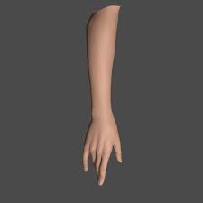 Pin On 3d Anatomy
