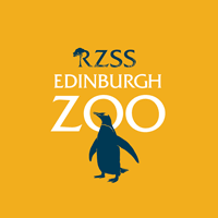 Teambuilding Days At Edinburgh Zoo Edinburgh Zoo
