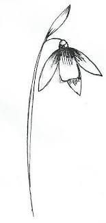 Originally Drawn As A Tattoo Design For Myself This Delicte Snowdrop Temporary Tattoo Is Simply B Violet Flower Tattoos Red Flower Tattoos Tiny Flower Tattoos
