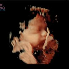 Steffanie and Jared Kress' Baby Registry at Babylist