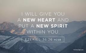 I Will Give You A New Heart And Put A New Spirit Within You I Will Remove Your Heart Of Stone And Give You A Heart Of Flesh Ezekiel 36 Bijbel