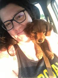 Hi! Are dogs allowed for baseball games?