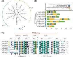 Super easy, super fun, and super rich! Structure And Expression Analysis Of Seven Salt Related Erf Genes Of Populus Peerj