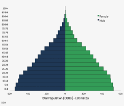 Afghanistan's pyramid's indicates a population in which there is a high birth rate, a we will write a custom essay sample on population pyramid of afghanistan specifically for you for. Population By Age And Sex Population Pyramid United States 1588x1285 Png Download Pngkit