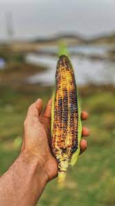 pin by سبحان الله on صور food vegetables