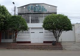 Image result for Atalaya alata