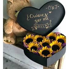 Resultado De Imagen Para Quieres Ser Mi Novia Regalos Con Imagenes Quieres Ser Mi Novia Ideas De Regalos Regalos Creativos
