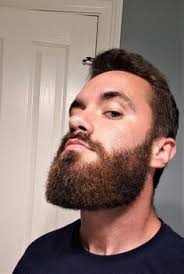 26 Beard styles ideas