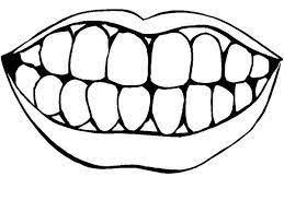 He is wearing a baby bib just like your little toddler, she still drools from the mouth and you need. Image Result For Coloring Sheet For Mouth Teeth Pictures Tooth Preschool Dental Kids