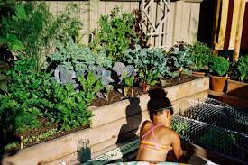 All you need is a spot that gets six or more hours of sunshine each day. Easy Herb And Vegetable Garden Designs Hgtv