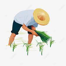 Planting Peasant Decorative Elements Decorative Element Transplanting Farmer Png Transparent Clipart Image And Psd File For Free Download In 2021 Clip Art Background Patterns Floral Background
