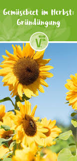 Gemuseanbau Fruchtwechsel Im Gemusegarten Plant Happy Gemuseanbau Garten Biologischer Anbau